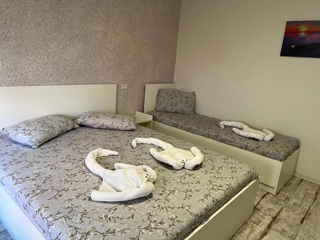 Amalya Hotel Констанца Екстериор снимка